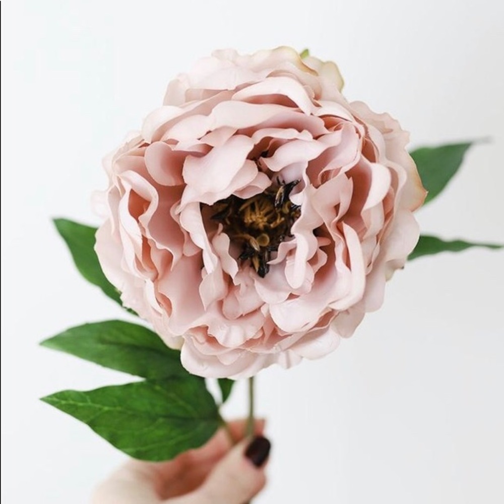 Meet your Posher, Laura